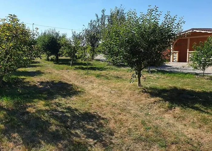 La Cabanute