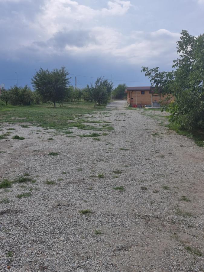 Сasa de vacaciones La Cabanute Sibiu