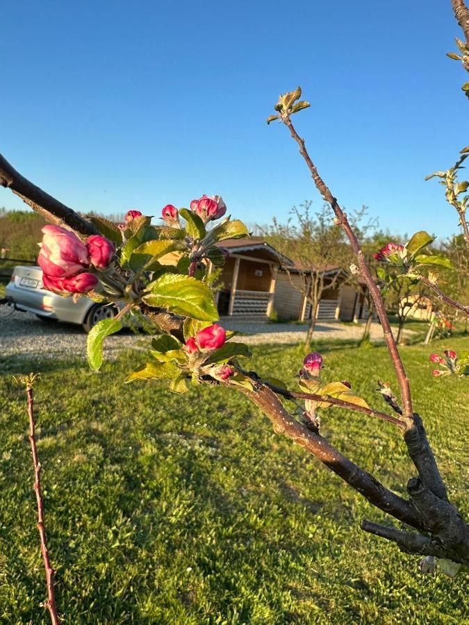 La Cabanute Сasa de vacaciones